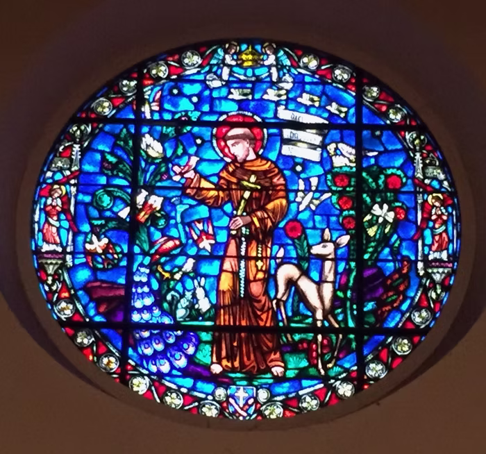 St. Francis Stained Glass Window